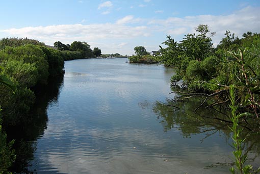 Santapogue Creek Wetlands in West Babylon