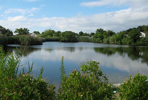 Santapogue Creek Wetlands